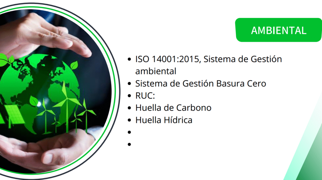 captura de pantalla 2025 08 17 135732